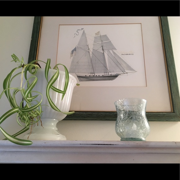 Meet your Posher, Lisa - Picture 3 of 6